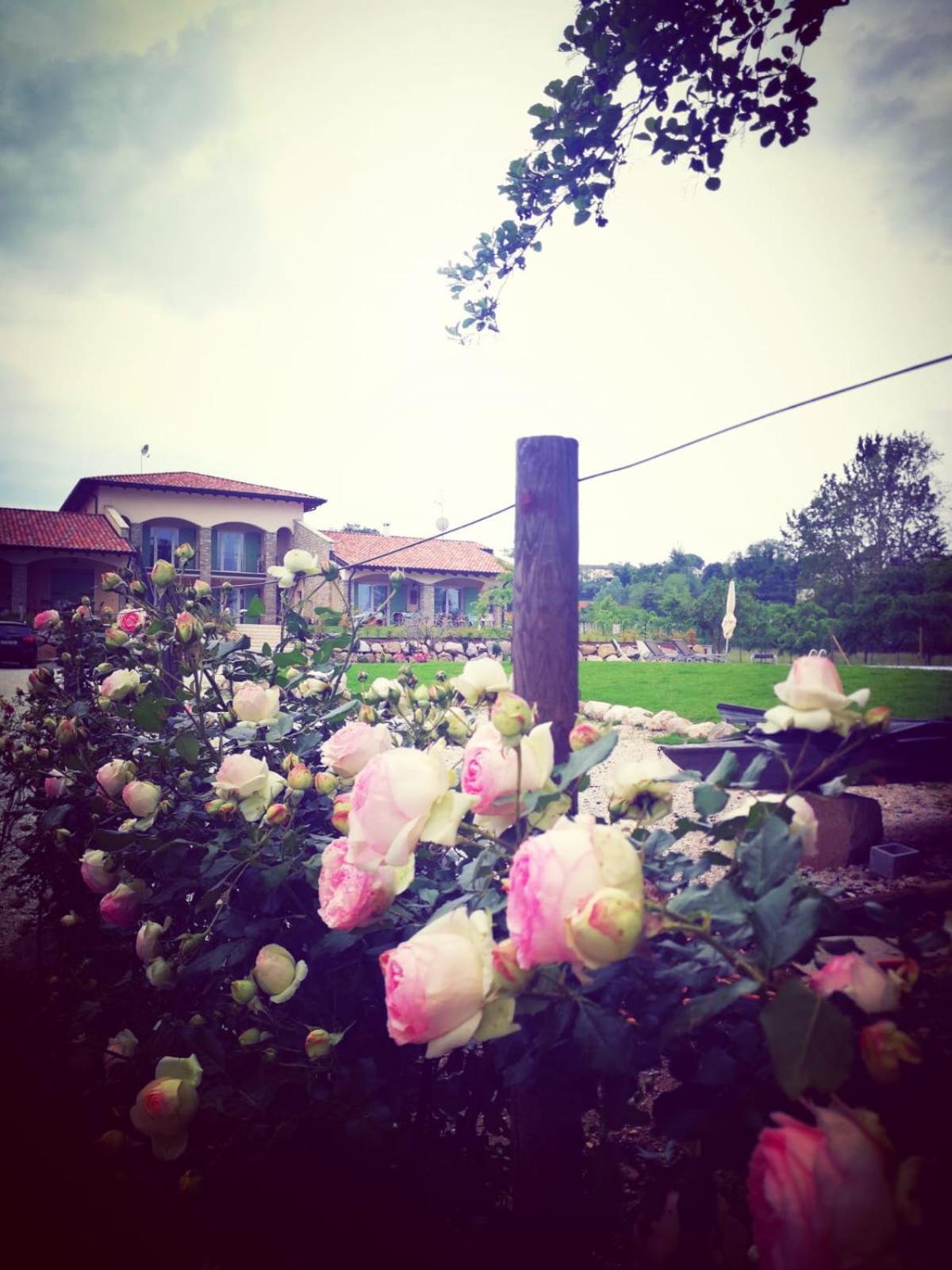 Orchidea Del Garda Rooms & Apartments ペスキエーラ・デル・ガルダ エクステリア 写真